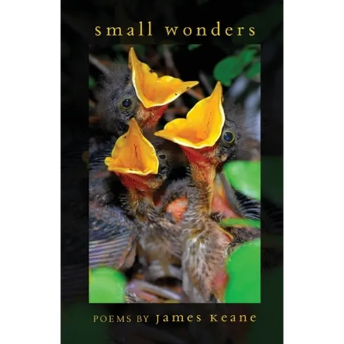 Small Wonders - Paperback