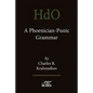 A Phoenician-Punic Grammar - Paperback