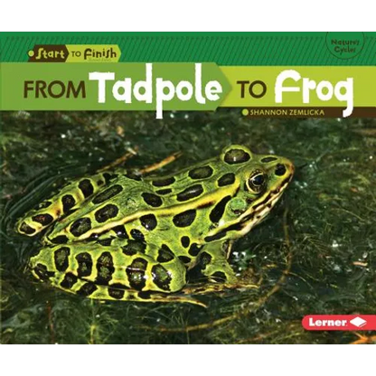 From Tadpole to Frog - Paperback