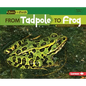 From Tadpole to Frog - Paperback