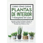Curso sobre Cómo Cuidar Plantas de Interior y Paisajismo en Casa: Aprende a Cuidar Tus Plantas y Diseñar Tu Paisaje Del Jardín al Interior Técnicas y - Paperback