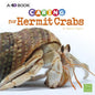 Caring for Hermit Crabs: A 4D Book - Paperback