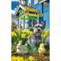 Mina's Backyard - Forever Home - Hardcover
