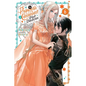 The Princess of Convenient Plot Devices, Vol. 6 (Light Novel) - Paperback