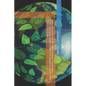 Green Finance Tools: A Practical Guide to Sustainable Investment Instruments, Climate Risk Mitigation, and Blended Finance Strategies - Paperback