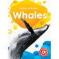 Whales - Library Binding