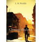 Chasing Shadows - Hardcover