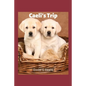 Caeli's Trip - Paperback