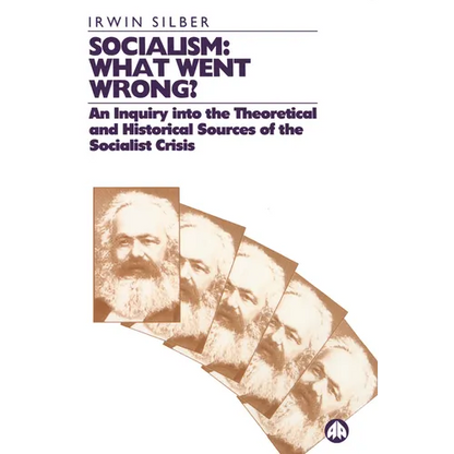 Socialism: What Went Wrong - Paperback