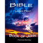 Bible Large Print Word Search: Book of John - Paperback