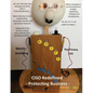 CISO Redefined Protecting Business - Paperback