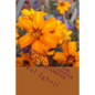 World Without Soil: Soil Wealth Can Change The World Forever - Paperback