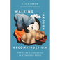 Walking Through Deconstruction: How to Be a Companion in a Crisis of Faith - Paperback