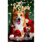 Evil Elves - Paperback