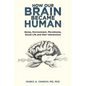 How Our Brain Became Human: Genes, Environment, Microbiome, Social Life and Their Interactions - Paperback