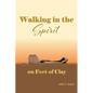 Walking in the Spirit on Feet of Clay - Paperback