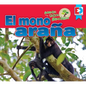 Animales de la Selva Amazónica -- El Mono Araña - Library Binding