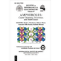 Amphiboles: Crystal Chemistry, Occurrence, and Health Issues - Paperback