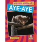 Aye-Aye - Paperback