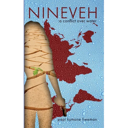 Nineveh: A Conflict Over Water - Paperback