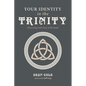 Your Identity in the Trinity: Discovering God's Grace in the Gospel - Paperback