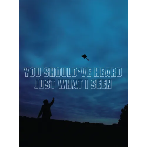You Should've Heard Just What I Seen - Paperback