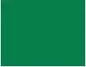 Quilters Select Bobbins - Class L- IRISH GREEN