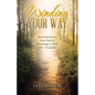 Winding Your Way: Illuminations on Your Path of Parenting A Child with a Disability - Paperback
