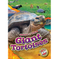 Giant Tortoises - Library Binding