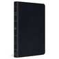 ESV Large Print Thinline Bible (Genuine Leather, Black) - Leather