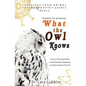 Words of Wisdom: What the Owl Knows: How an Owl Inspired Me to Find My Voice, Speak Up, and Take Charge of My Life - Paperback