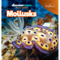Mollusks - Library Binding