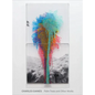 Charles Gaines: Palm Trees and Other Works - Hardcover