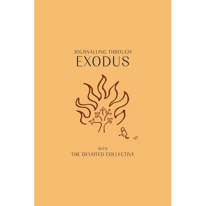 Journalling Through Exodus - Paperback