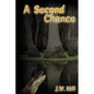 A Second Chance - Hardcover