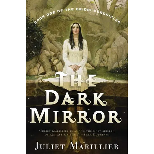 The Dark Mirror: Book One of the Bridei Chronicles - Paperback