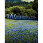 Wildflower - Paperback