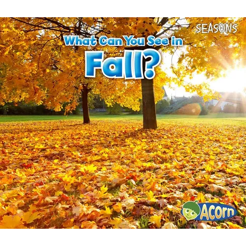 What Can You See in Fall? - Paperback