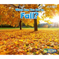 What Can You See in Fall? - Paperback