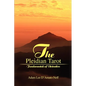 The Pleidian Tarot: Fundamentals of Divination - Paperback
