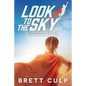 Look to the Sky: A Companion to the Documentary Film - Paperback