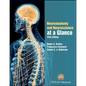 Neuroanatomy and Neuroscience at a Glance - Paperback