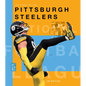 The Story of the Pittsburgh Steelers - Hardcover