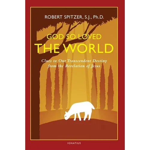 God So Loved the World: Clues to Our Transcendent Destiny from the Revelation of Jesus - Paperback