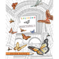 Coloring Insectopolis - Paperback