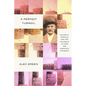 A Perfect Turmoil: Walter E. Fernald and the Struggle to Care for America's Disabled - Paperback