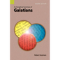 An Exegetical Summary of Galatians, 2nd Edition - Paperback