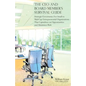 The CEO and Board Member's Survival Guide - Paperback
