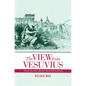 The View from Vesuvius: Italian Culture and the Southern Question Volume 46 - Paperback