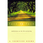 Face to Face: Meditations on the Life Everlasting - Paperback